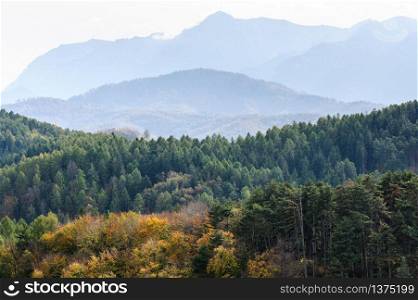 Late autumn landscape with forest and mountains. Autumn forest mountain landscape