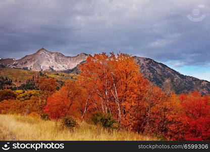 Late Autumn season in mountains