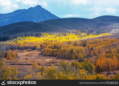 Late Autumn season in mountains