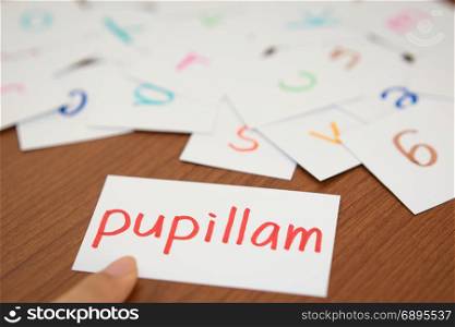 Latin; Learning the New Word with the Alphabet Cards; Writing APPLE