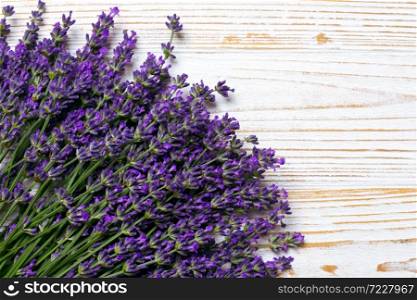 lavender bouquet on a white background. Provence