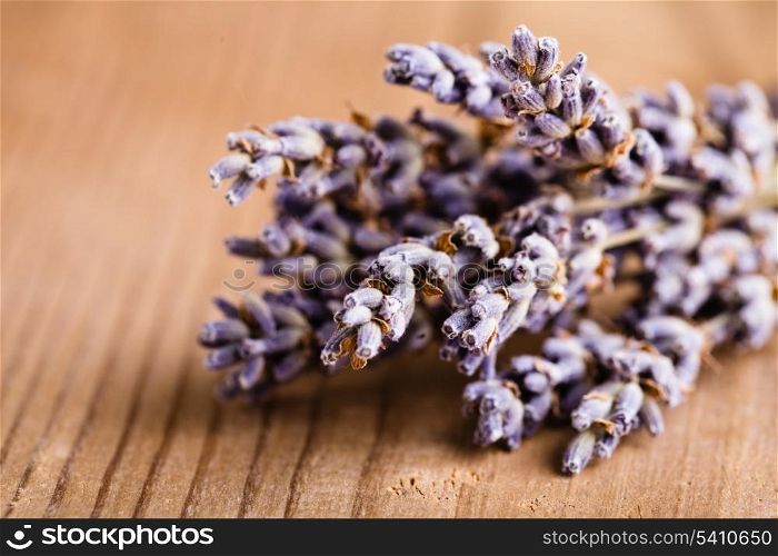 Lavender bunch on the wooden table closeup
