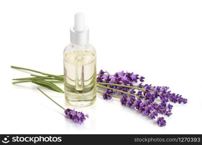 Lavender essential oil in glass bottle isolated on white background