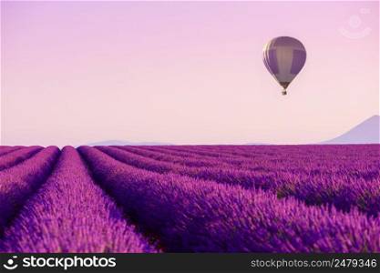 Lavender field rows with hot air balloon in sky near Valensole, Provence, France at summer morning