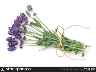 Lavender flowers bunch isolated on white background. Top view, flat lay