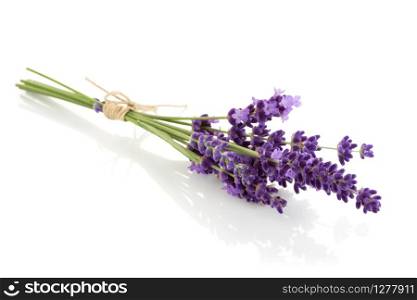 Lavender flowers bundle on a white background. Lavandula angustifolia