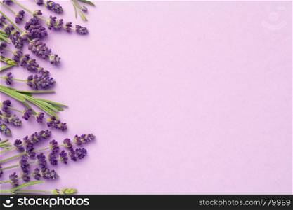 Lavender flowers on pink background. Copy space. Top view, flat lay