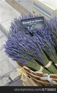 Lavender for sale on a local Provencal market