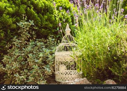 Lavender on rockery with birdcage decorations and rocks