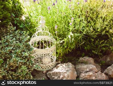 Lavender on rockery with birdcage decorations and rocks. Lavender on rockery