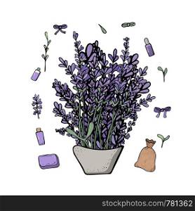Lavender set composition in doodle style. Flowers elements isolated on white background. Vector illustration.