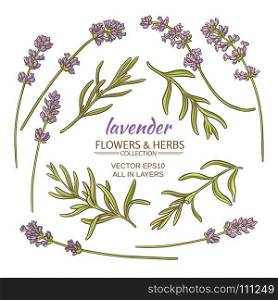 lavender vector set. lavender flowers and leaves set on white background