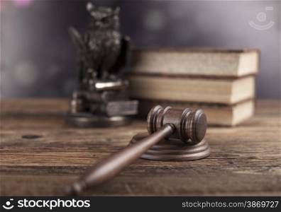 Law concept, owl in a judge gavel concept