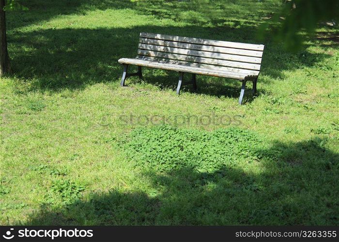 Lawn and Bench