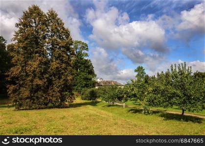 Lawn and fruit trees in park of Petrovskoe village. State Museum-reserve of A. S. Pushkin, Pskov Region, Russia.. Apple trees in park