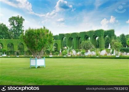 lawn and hedge in a summer park