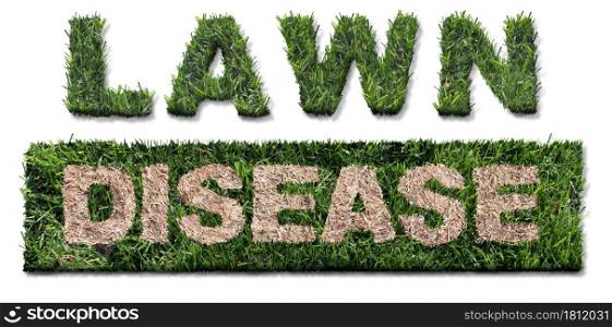 Lawn disease symbol as grub damage as chinch larva damaging grass roots causing a brown patch and drought area in the turf as a composite image on a white background.