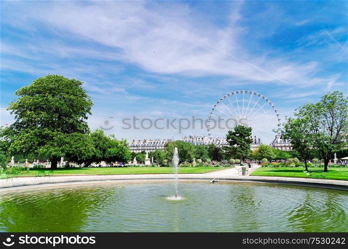 lawn of Tuileries garden with ferry wheel at summer, Paris, France. Tuileries garden, Paris