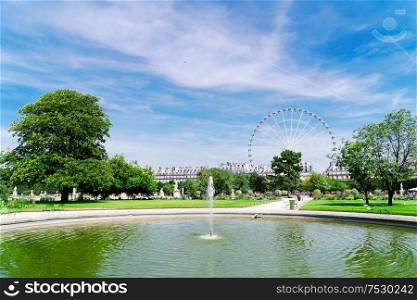 lawn of Tuileries garden with ferry wheel at summer, Paris, France. Tuileries garden, Paris