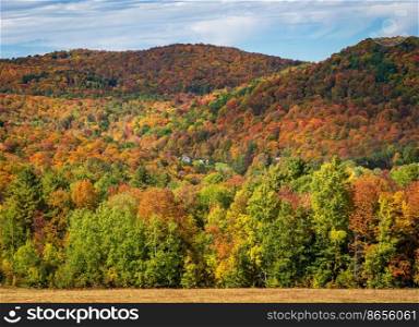 Layers of trees in many autumn colors line a hillside near Pomfret in Vermont. Multi-colored hillside in Vermont during the fall