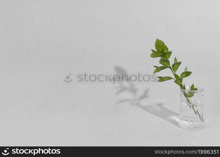 leaf branch vase with shadow 1