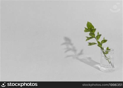 leaf branch vase with shadow 1