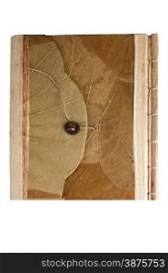 Leaf covered notebook with white background