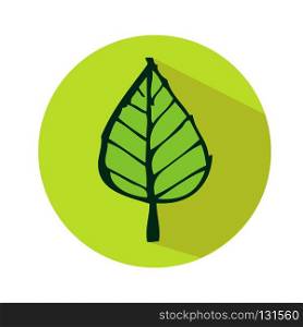 leaf icon Vector illustration