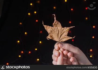 Leaf in hand on a bokeh light background