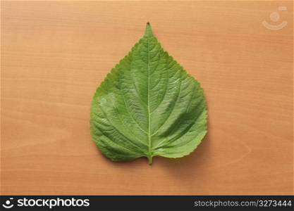 Leaf of sesame