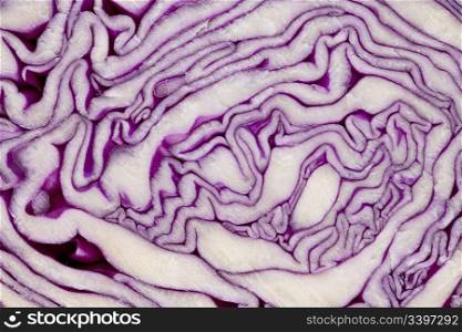 leaf patterns in red cabbage cross section