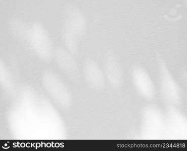 Leaf shadow and light from sunlight dappled on white concrete wall background.