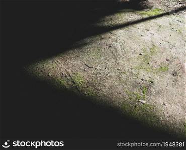 Leaf shadow and light on cement floor. Natural leaves tree branch and plant shadows with sunlight on concrete floor for background.