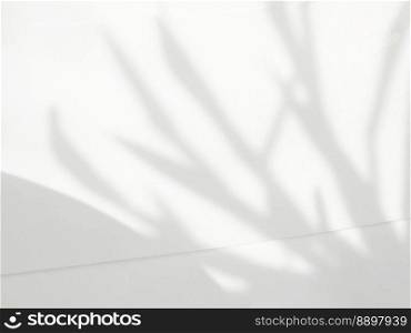 Leaf shadow and light on wall background in empty room. Abstract shadow of natural leaves overlay effect for photo, mock up, product, wall art, design presentation