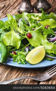 Leaf vegetable lettuce. Spring vegetable salad with herb and lime