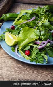 Leaf vegetable salad. Spring vegetable salad with food herb and lime