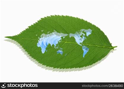 Leaf with map cut-out