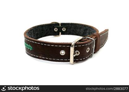 leather animal collar isolated on white