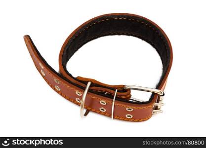 Leather dog collar on a white background