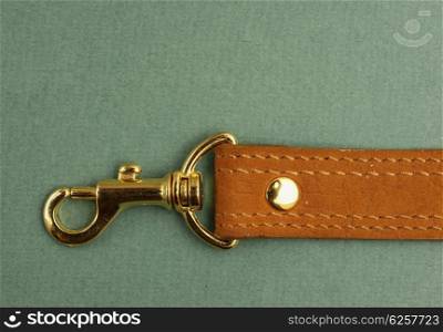 leather strap with carabiner on a green background