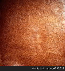 Leather texture