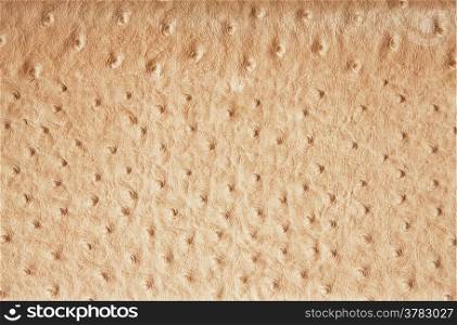 leather texture ostrich spots