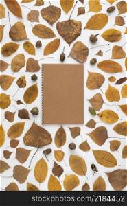 leaves acorns around notebook