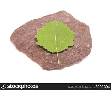 leaves and stone on white background