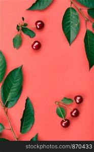 Leaves, berries of cherry tree on red background. Minimal style. Copy space room for text