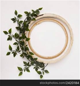 leaves decoration with empty wooden circles white backdrop