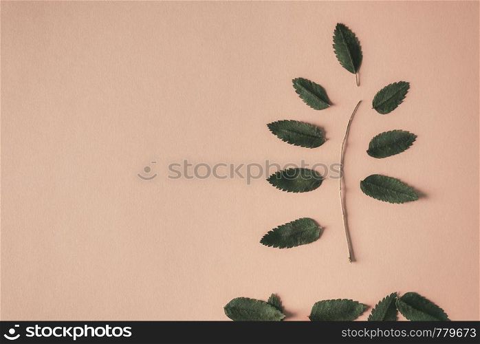 Leaves falling from a tree branch on a light brown background. Autumn frame from an above view. Fall concept with leaves. Flat lay with copy space.
