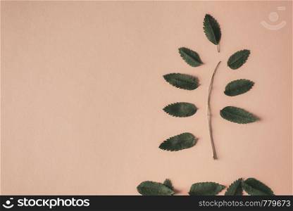 Leaves falling from a tree branch on a light brown background. Autumn frame from an above view. Fall concept with leaves. Flat lay with copy space.