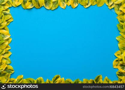 Leaves frame on blue background. Flat lay. Copy space. Top view