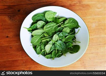 leaves of fresh green spinach in bowl